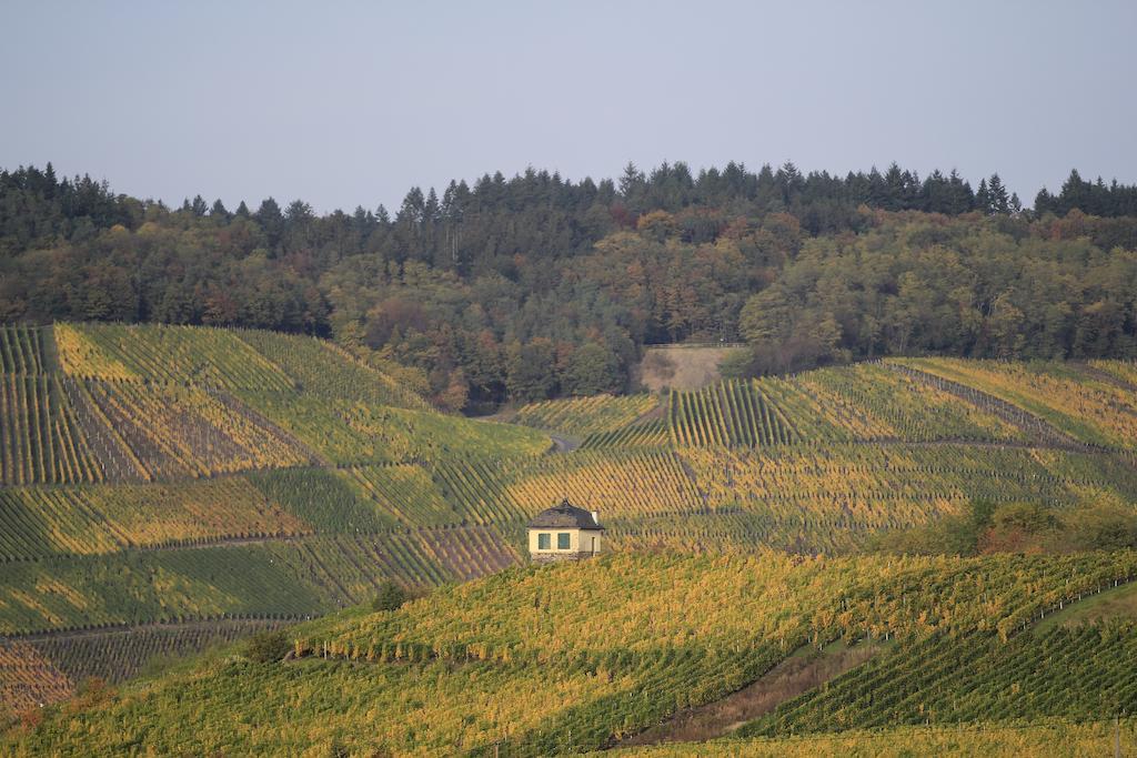 Hotel Zur Post Mulheim an der Mosel Esterno foto